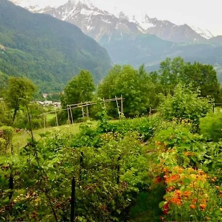 Apartment Cosy Alpine Flat With Great Views Of Mont Blanc *