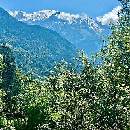 Cosy Alpine Flat With Great Views Of Mont Blanc 塞尔沃兹